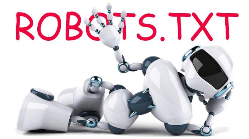 Что такое robots.txt и зачем он нужен в Биробиджане